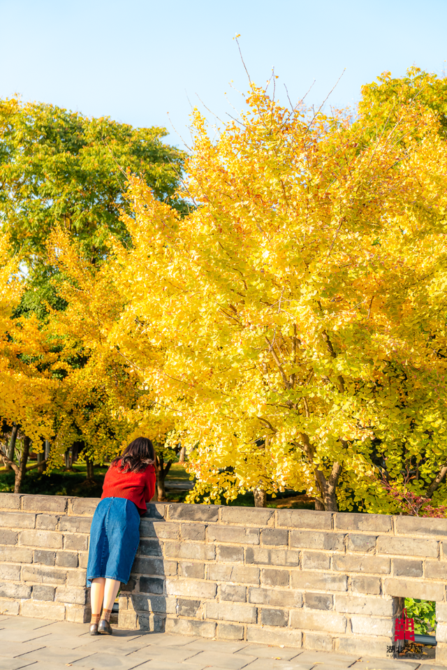 湖北这6座公园,你去过一半算我输!