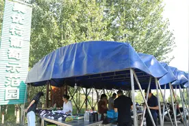 葡萄采摘正当时 长安1.1万亩葡萄陆续成熟上市图片