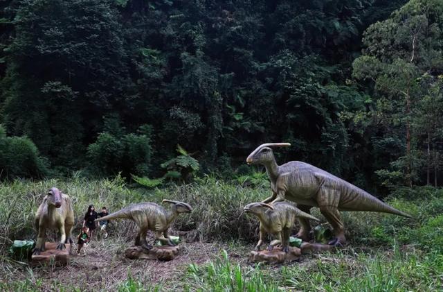 辟谣！网传犍为一景区发现恐龙化石？景区回应来了……