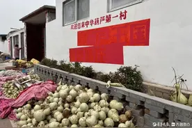 好山东|拿下全国3/4的市场，东昌葫芦的“秘密”在哪里图片