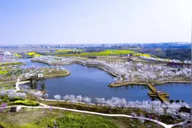 柳绿花红春日暖，且行且饮且歌欢 湖北孝感广邀天下客，与李白来一场偶遇图片