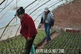 张颂文砍价被吐槽穷酸，砍价难道不是一种生活智慧吗？图片