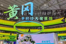 黄冈精彩亮相世界大健康博览会图片