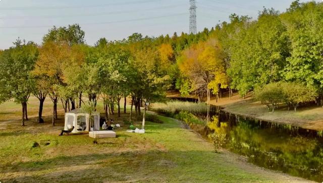 谁说初冬只有萧瑟？来太白湖新区解锁绚烂生机打卡地