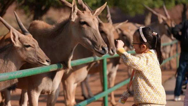 亲~~免费游乐和乐都的机会来了！