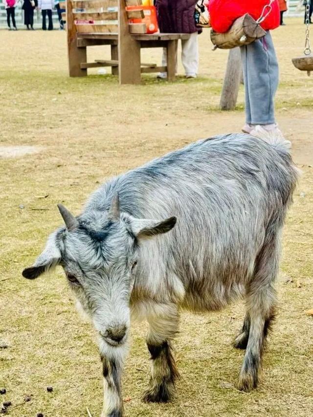 西安出发1h！这4个宝藏农场！