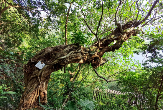 七星岩沉浸式打卡指南｜跟着走，解锁山湖秘境的深度玩法