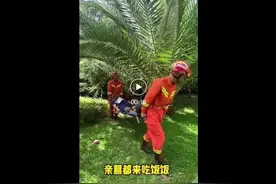 云南人的“菌”神状态，“谣谣”领先！图片