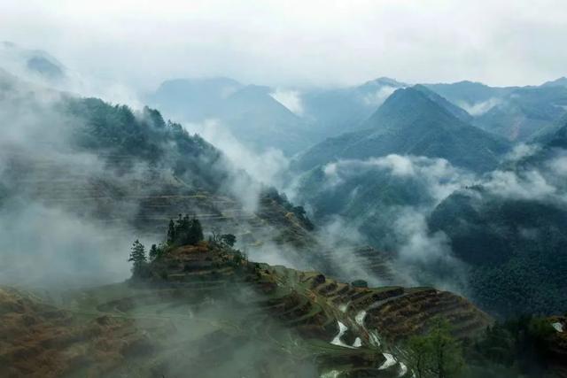写点生活｜雨中小佐，别一番的春韵绵长