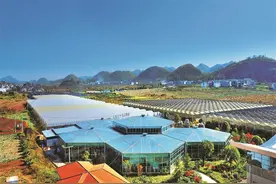 沃野好“丰”景 “农”墨写华章图片