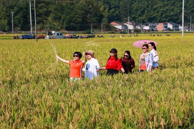 新鲜出炉！泰宁8大神仙玩法你知道几个？