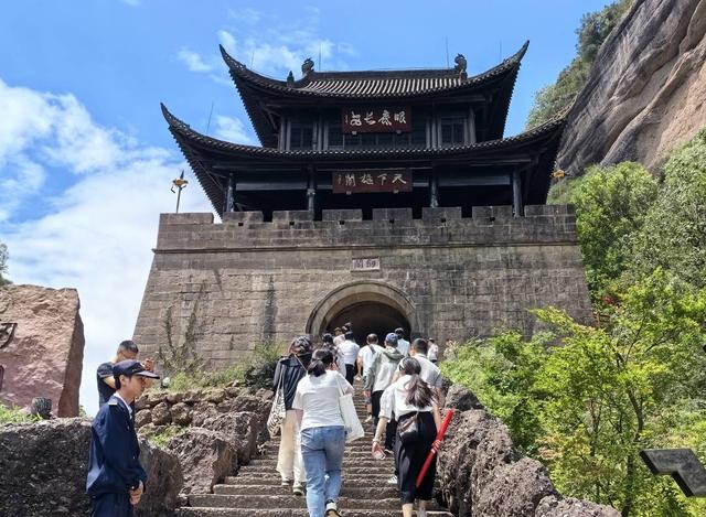 千年古柏的守护与新生｜您牵挂的四川