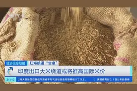 红海局势紧张，印度考虑另辟大米运输路线！国际米价或将上涨图片