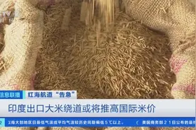 红海局势紧张，印度考虑另辟大米运输路线！国际米价或将上涨图片