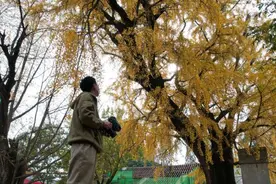 安徽：“数智赋能”助力文旅产业提质升级图片