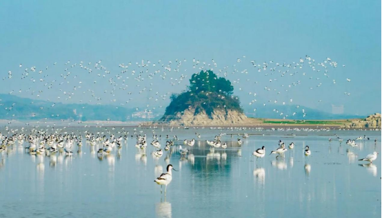 冬季观候鸟直通线路正式开通啦！6.5元起！