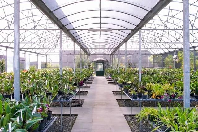 他初中毕业后终身不婚，荒野舍命工作20年，被一群博士封神