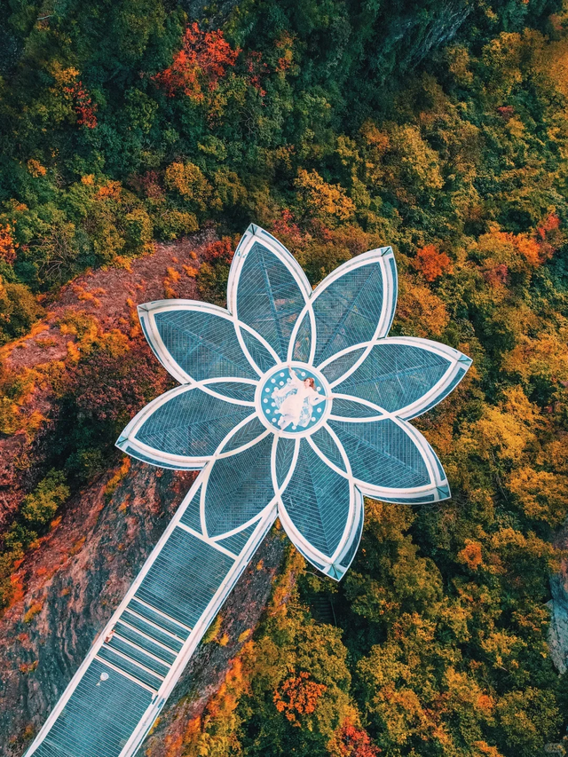 15日畅游长三角“随心乘”！怎么玩？有哪些线路？“薅羊毛”攻略来啦～