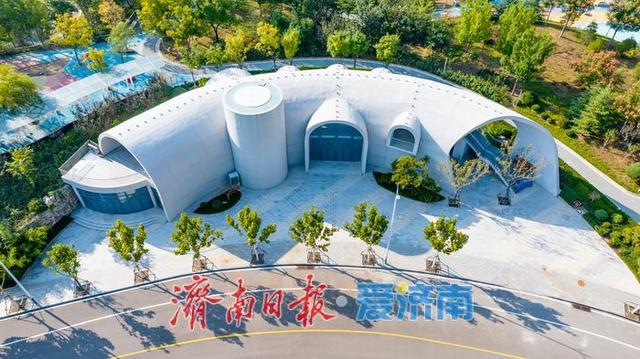 秋色如画正当时 望岳康体公园粉黛花开引客来
