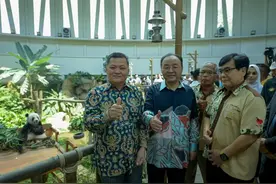 欢迎回家！旅马大熊猫“谊谊”和“升谊”启程回国图片