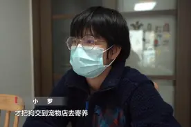 爱犬寄养被弄丢，抓捕时还受了伤！索赔被拒，律师提醒：这样的合同……图片