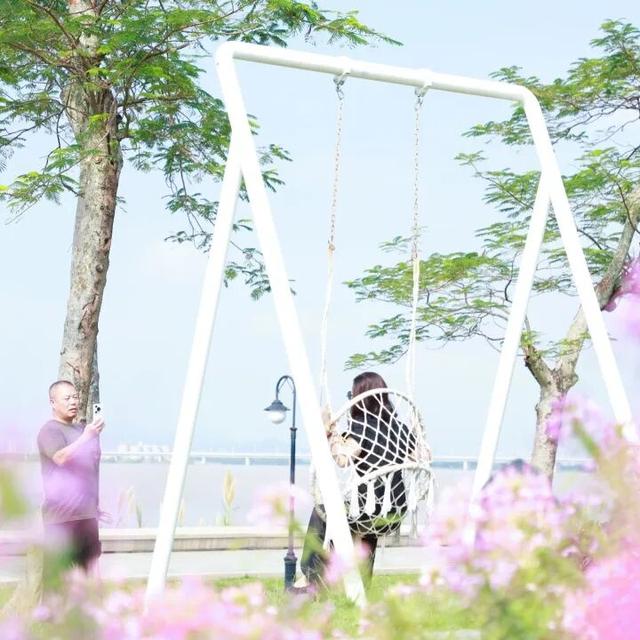 15000㎡花海！免费打卡！珠海人约起来！