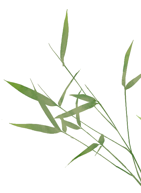 “度假基地”+1！停车免费…