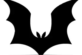 嗓子疼嗓子哑？别不当回事，小心是癌！图片