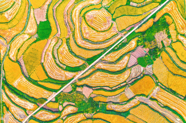 11月29日-12月1日，2025中国美丽乡村广场舞大赛即将燃动巴中！