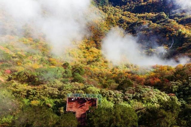 来瓦屋山沉浸式徒步！与漫山秋色撞个满怀！
