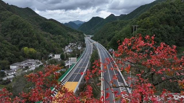 甘肃公交建集团康略高速公路：秋染康略 车行画境
