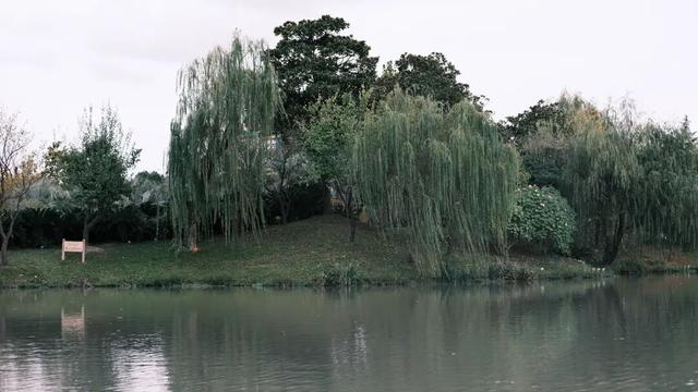 域见上海·域见奉贤｜奉浦秋日限定！这三条宝藏路线，承包所有秋日浪漫，刷爆朋友圈就靠它