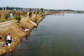 “生态+产业”治理模式驱动济宁市兖州区采煤塌陷区生态蝶变图片