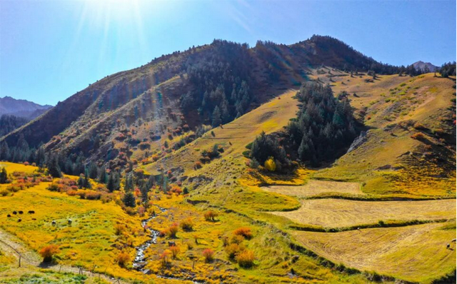 甘肃张掖：秋日祁连山风景如画 雪山金草绘就壮美诗篇