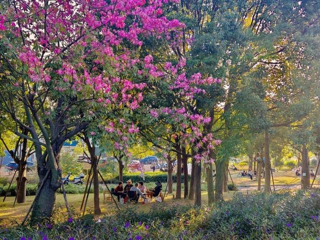 汕头碧道：绘就冬日生态长卷