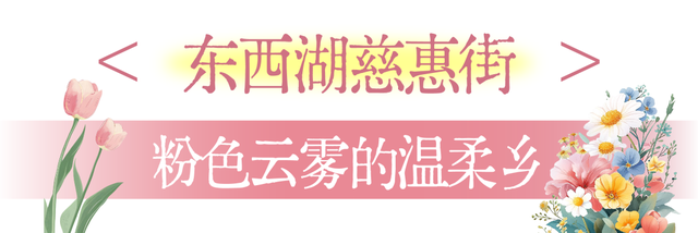 国庆花事指南：赴一场与向日葵、月季和粉黛的秋日花约