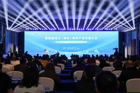 以“五企行动”谋划新篇，湖北公布体育产业创新发展全年攻略图片