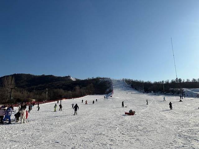 温泉袅袅、候鸟翩翩、冰雪灼灼——这个冬天，齐鲁大地邀你来场“冷”与“暖”的双重奔赴