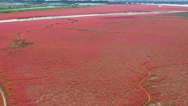 秋染湿地披红装