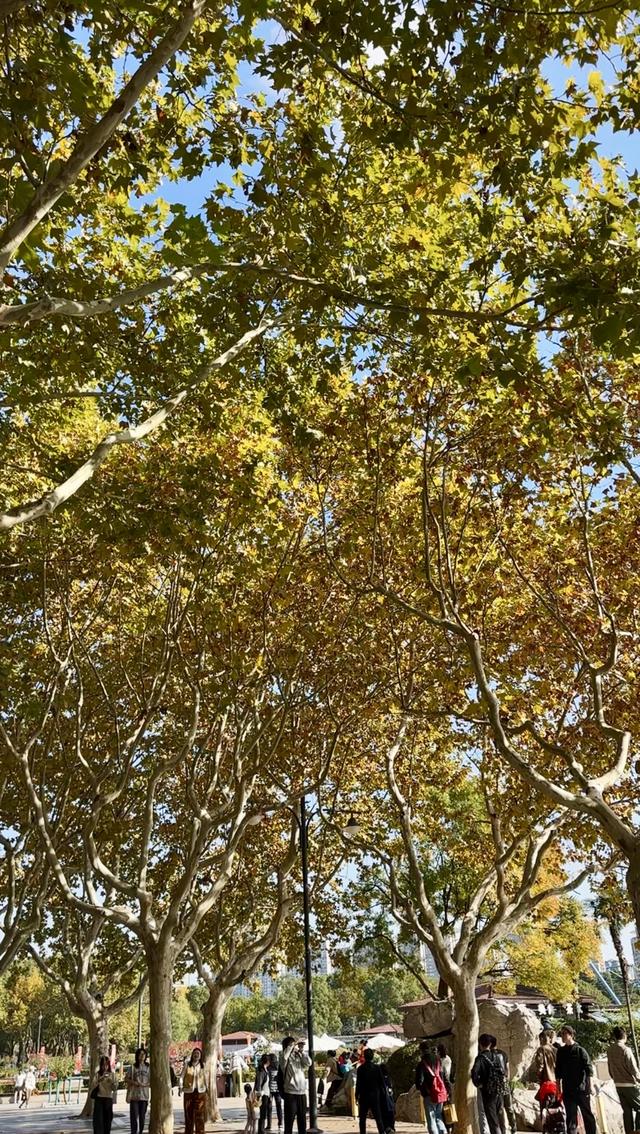 世纪公园秋日市集开启，音乐美景非遗手作齐聚，还藏着进博好物