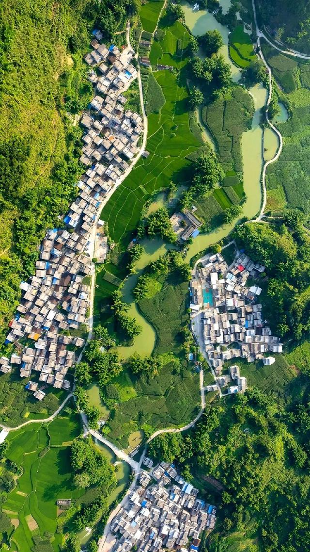 百色田东，“中国芒果之乡”不止芒果！