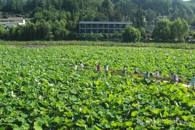 毕节不止有“悬崖村”，这些田园风光更美！