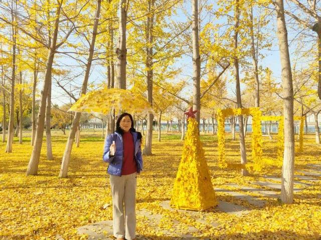 落叶变“宝藏”！临沂这些地点免费打卡
