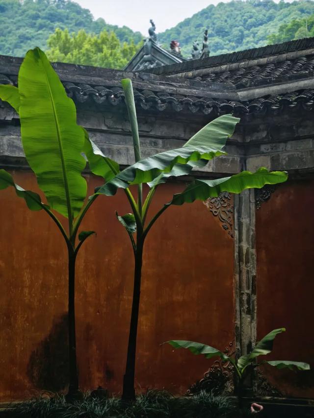想搬去杭州了
