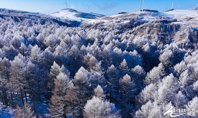 来山西打卡秋冬限定色