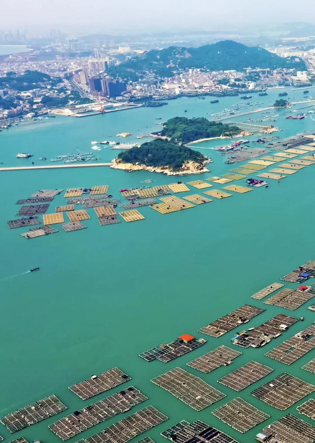 福建人：生而为「流」