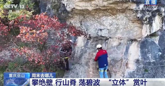 以红叶为“媒”、“跟着课本去旅行”成亮点 场景上新增加文旅消费新体验