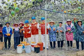 重庆秀山：小吊瓜变身“致富果”图片