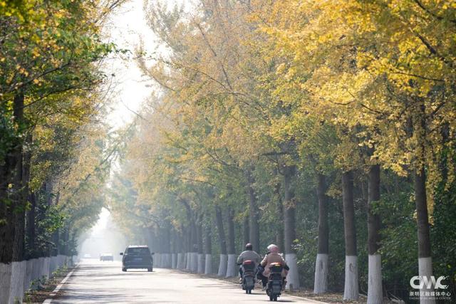 最近大家都在赴这场美丽之约