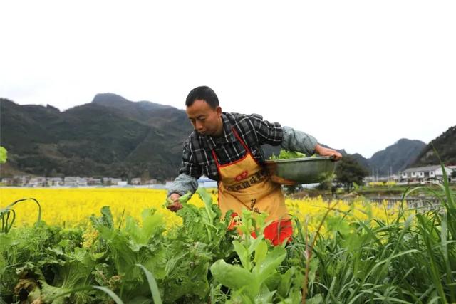 【全国生态日】绥阳：践行“两山论” 绘就生态旅游发展新画卷